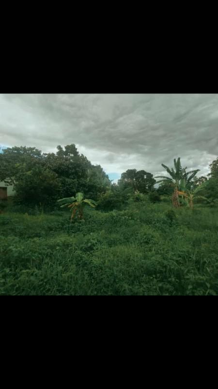 Fazenda, Dumaville, 3 Quartos, 10 Vagas