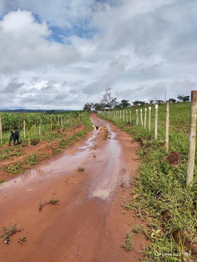 Fazenda, Centro, 3 Quartos, 4 Vagas, 1 Suíte