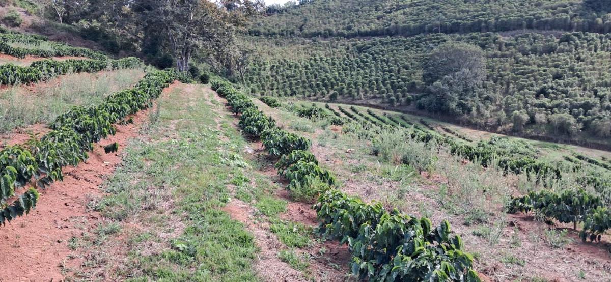 Fazenda, Zona Rural, 0 Quarto, 0 Vaga