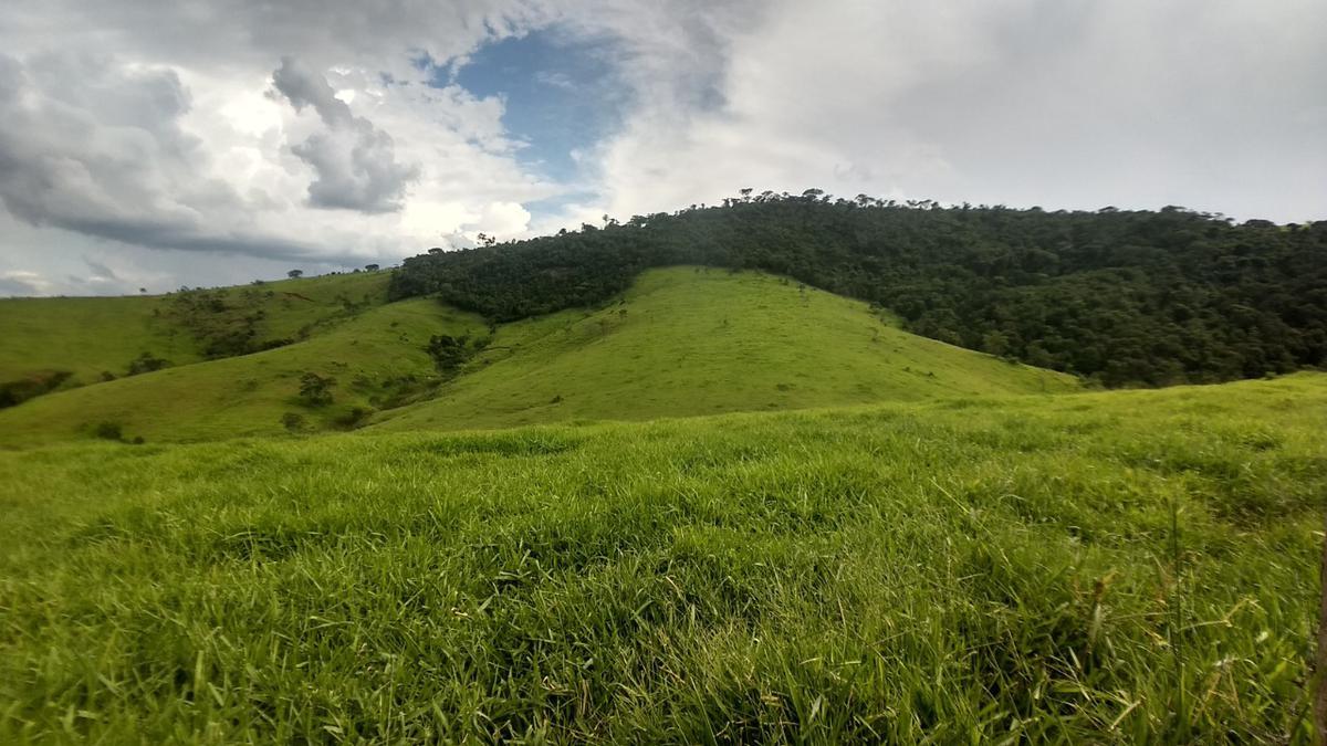 Fazenda, Zona Rural, 0 Quarto, 0 Vaga