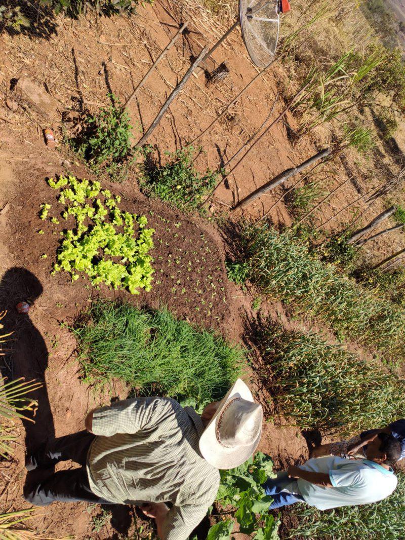 Fazenda, Tombadouro, 0 Quarto, 0 Vaga