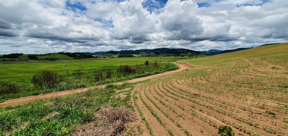 Fazenda, Centro, 1 Quarto, 1 Vaga, 1 Suíte