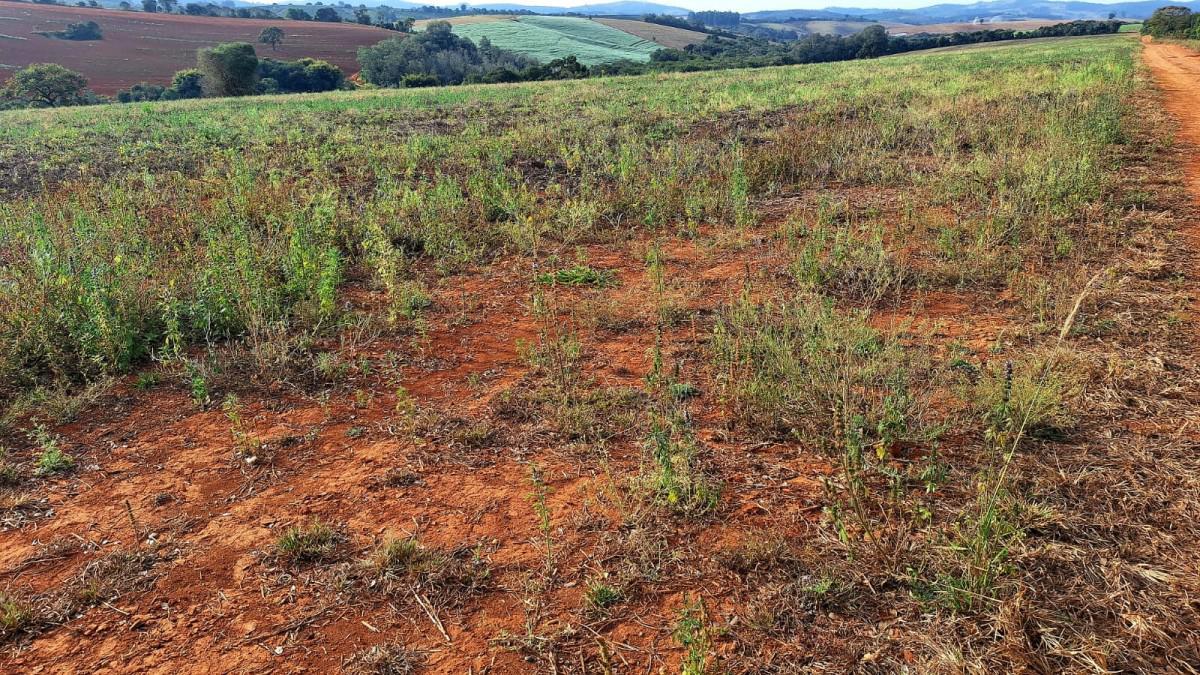 Fazenda, Zona Rural, 0 Quarto, 0 Vaga