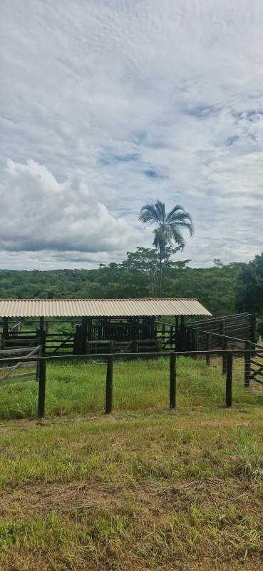 Fazenda, Centro, 0 Quarto, 0 Vaga