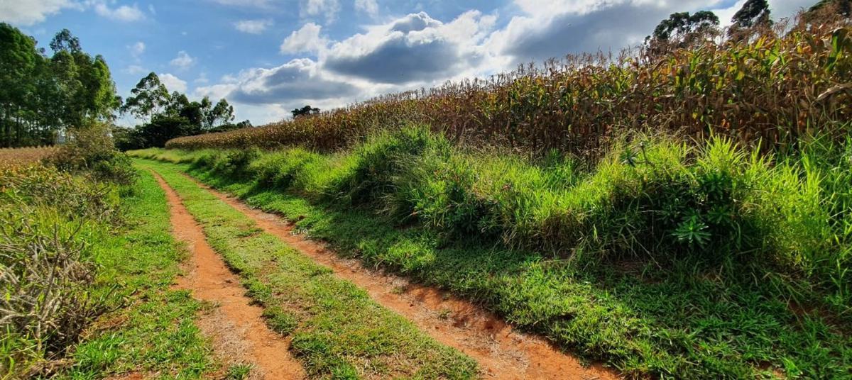 Lote, Centro, 4 Quartos, 2 Vagas