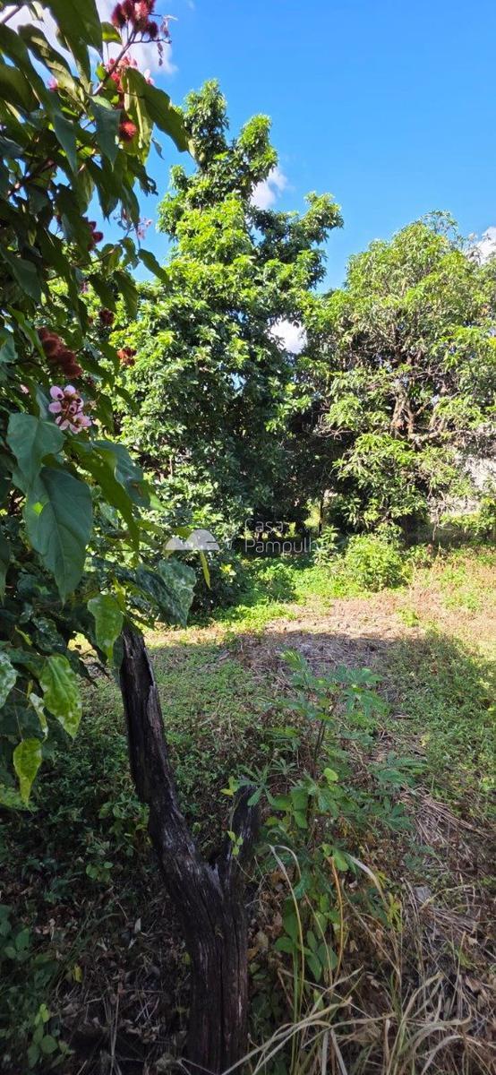 Lote, Santa Amélia, 0 Quarto, 0 Vaga