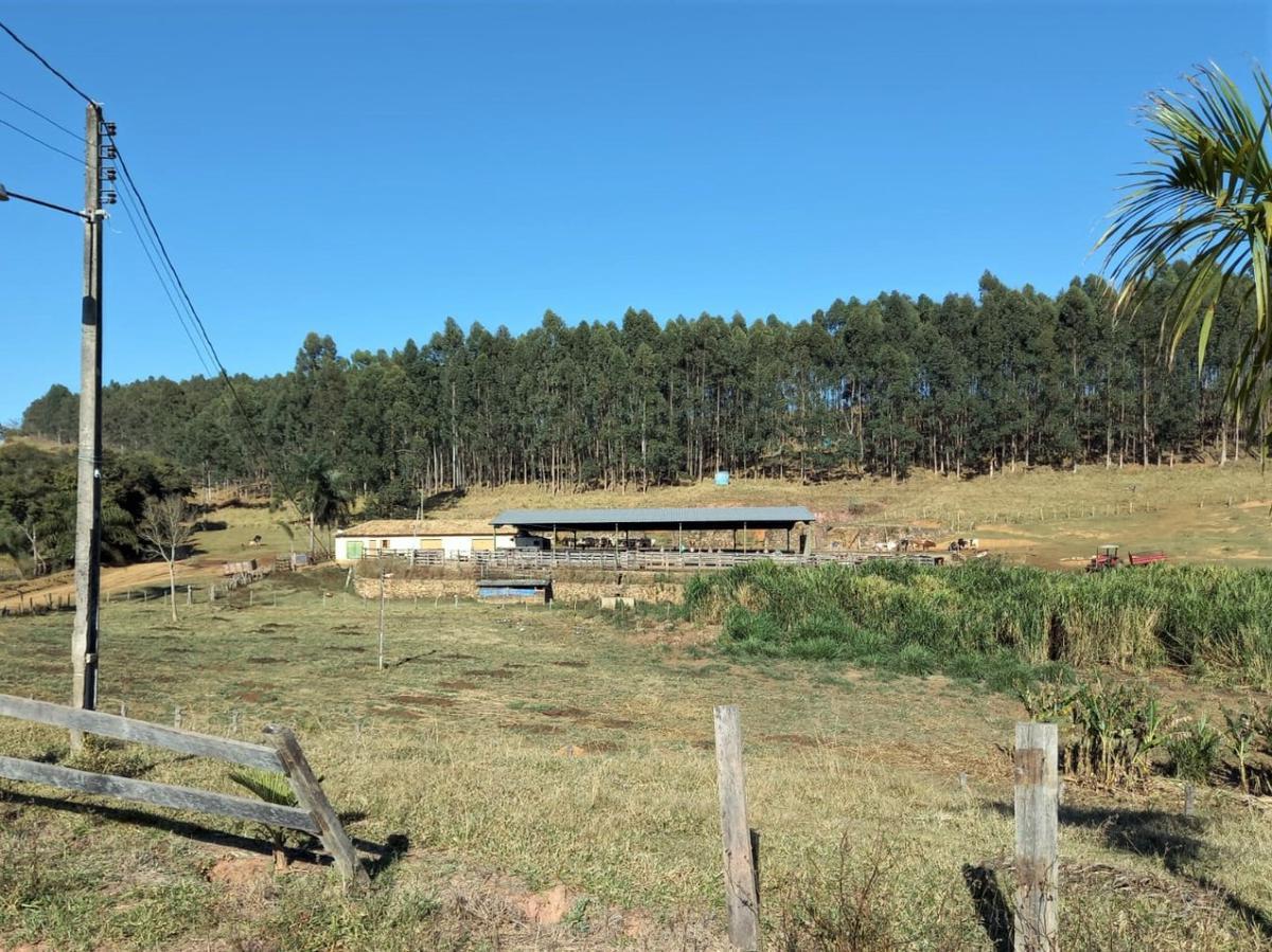 Fazenda, Centro, 3 Quartos, 0 Vaga