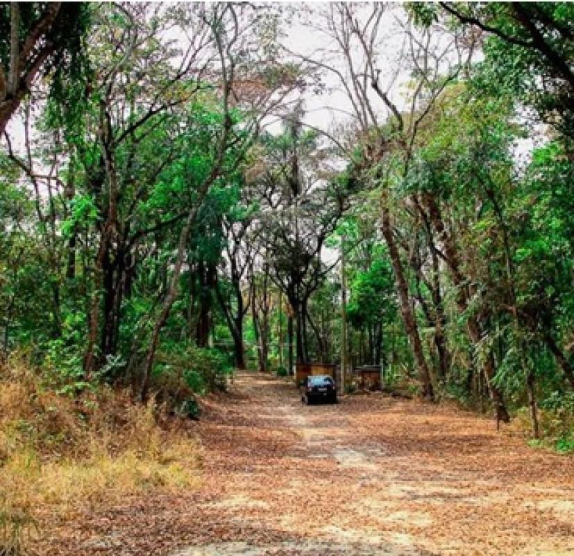 Lote, Parque Ipiranga, 0 Quarto, 0 Vaga