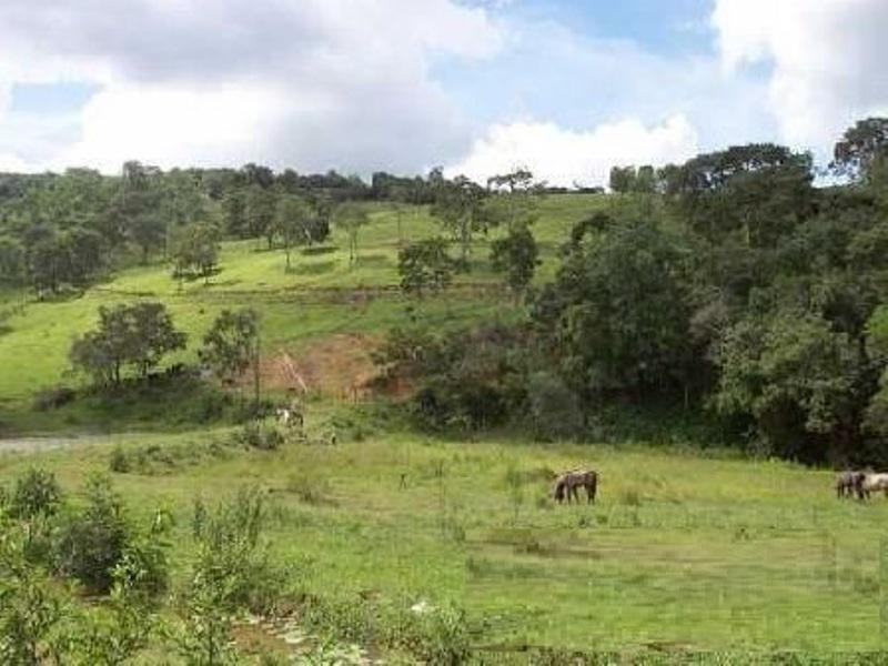 Fazenda, Garcias, 3 Quartos