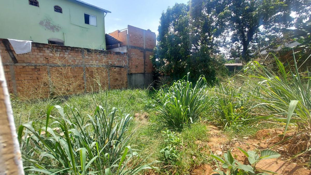 Lote, Santa Cruz, 0 Quarto, 0 Vaga