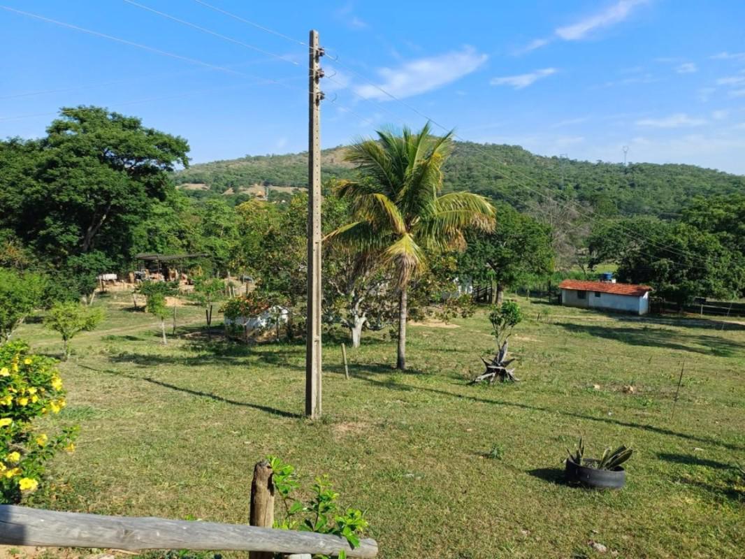 Fazenda, Centro, 0 Quarto, 0 Vaga