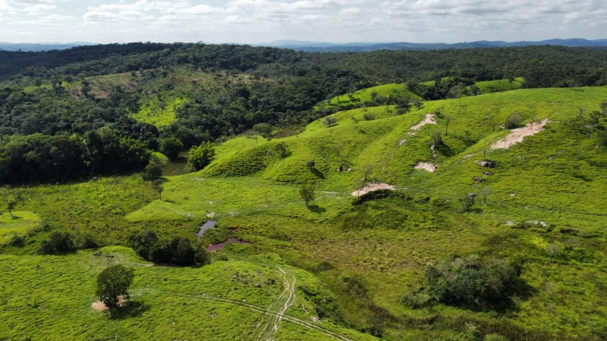 Fazenda, Centro, 0 Quarto, 0 Vaga