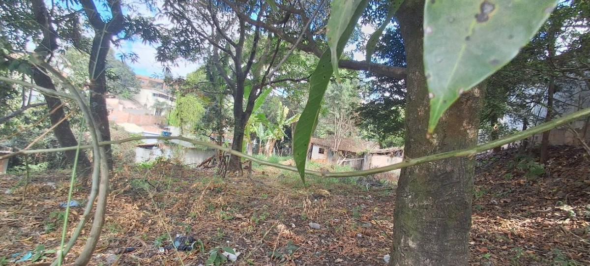 Lote, São Jorge, 0 Quarto, 0 Vaga
