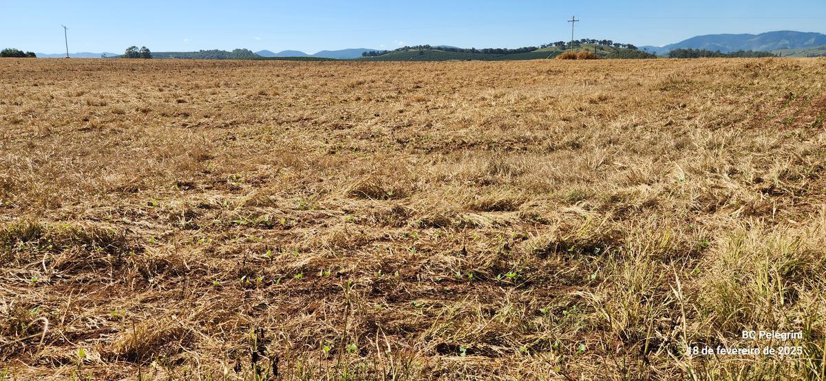 Fazenda, Zona Rural, 3 Quartos, 1 Vaga