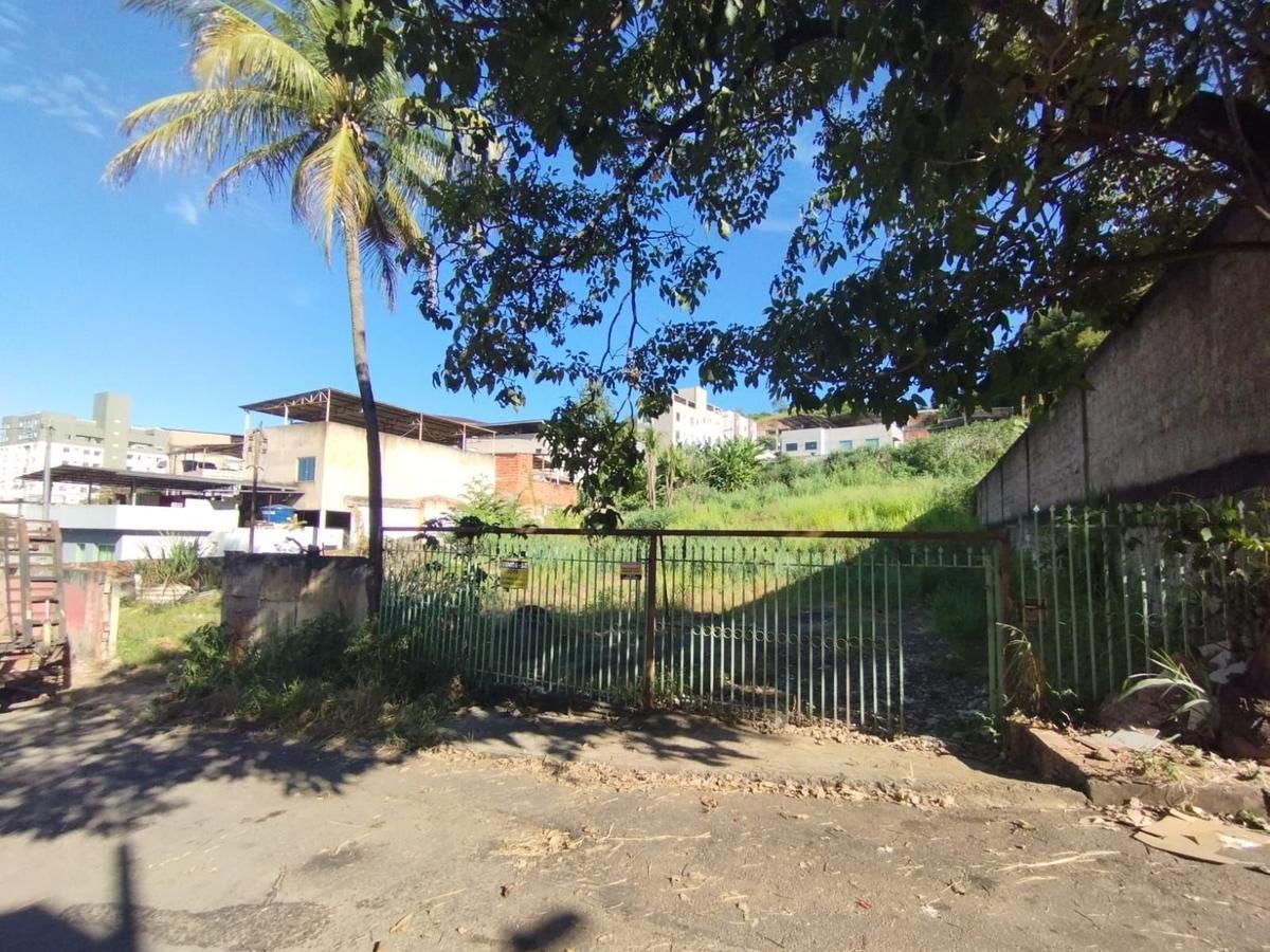 Lote, Bom Jesus, 0 Quarto, 0 Vaga