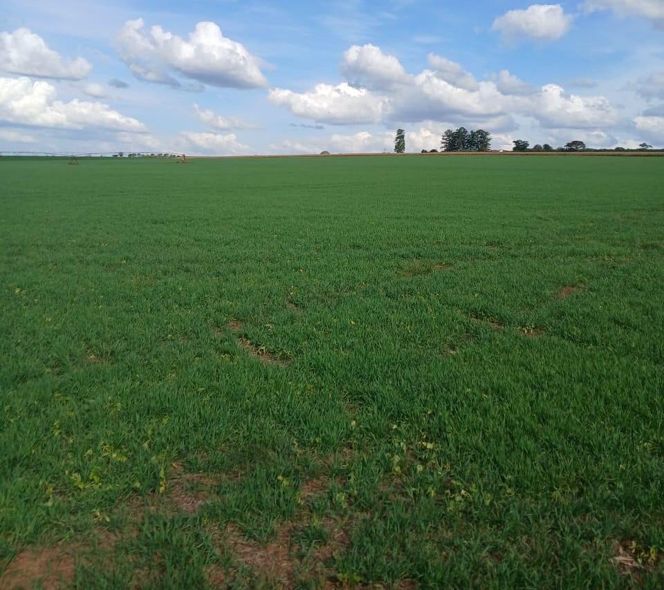 Fazenda, Zona Rural, 3 Quartos, 0 Vaga