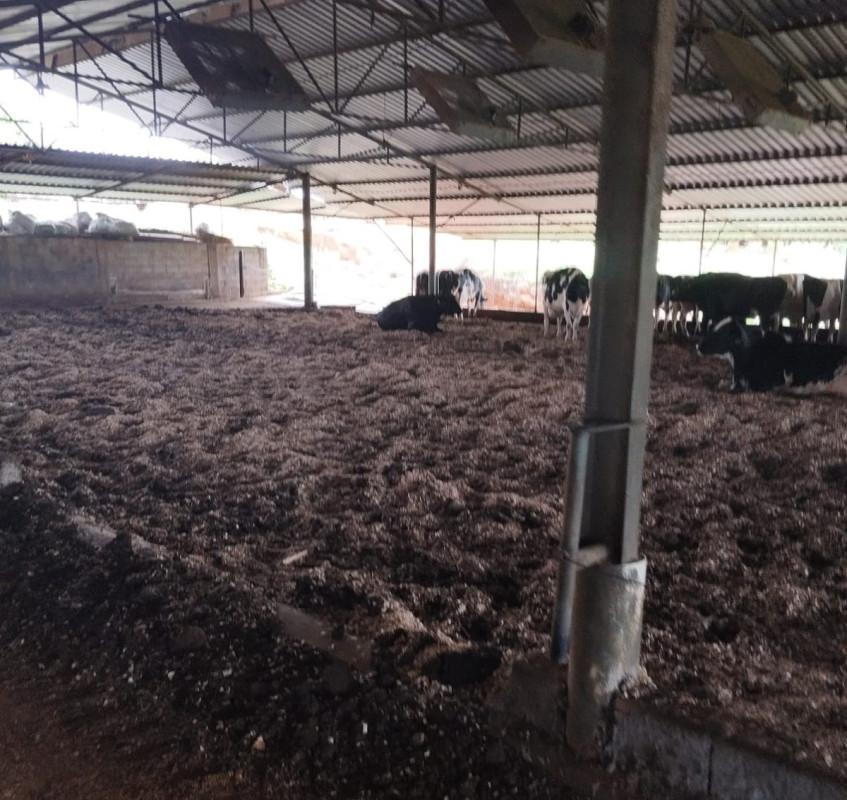 Fazenda, Área Rural de Pará de Minas, 0 Quarto, 0 Vaga
