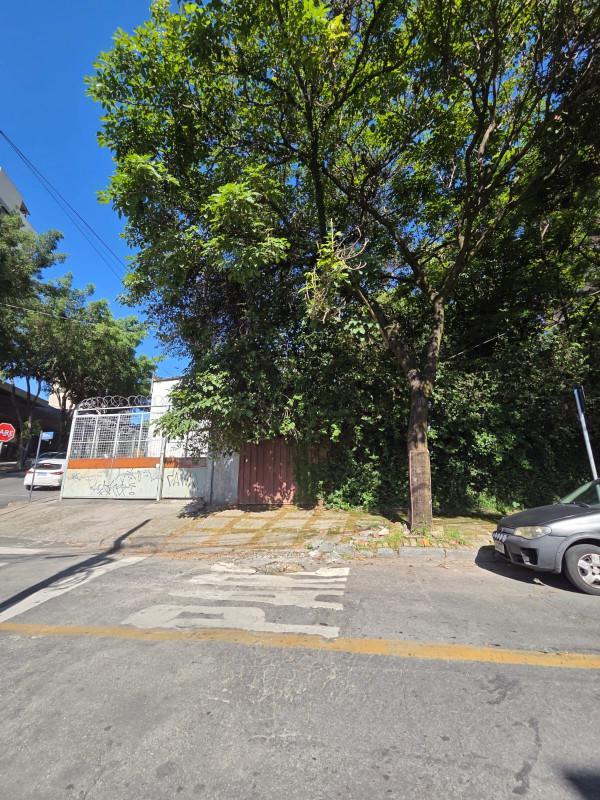 Lote, Ouro Preto, 0 Quarto, 0 Vaga