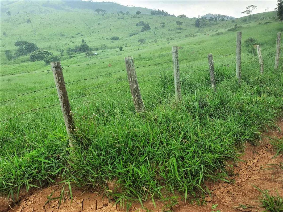 Fazenda, Zona Rural, 4 Quartos, 0 Vaga