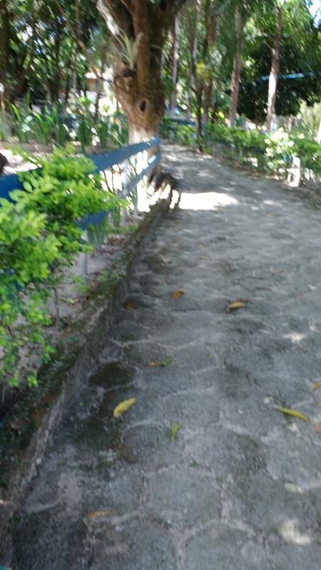 Fazenda, Centro, 3 Quartos, 8 Vagas, 1 Suíte