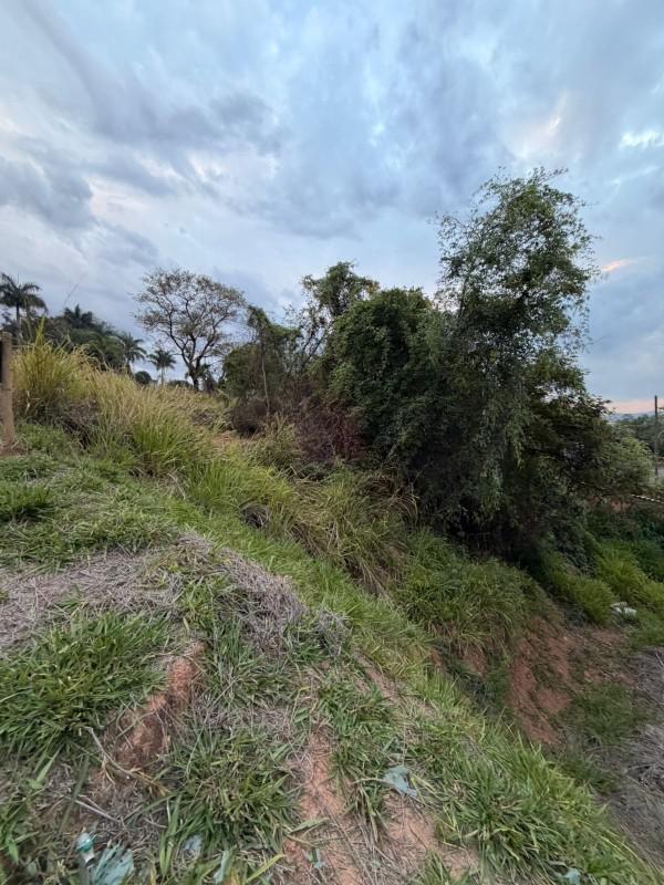 Lote, Liberdade, 0 Quarto, 0 Vaga