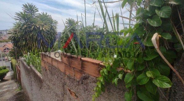 Lote, Santa Cruz, 0 Quarto, 0 Vaga