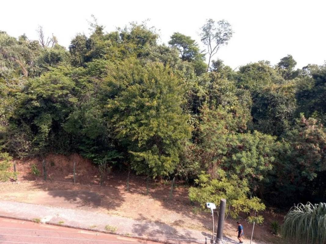 Apartamento, Castelo, 4 Quartos, 2 Vagas, 1 Suíte