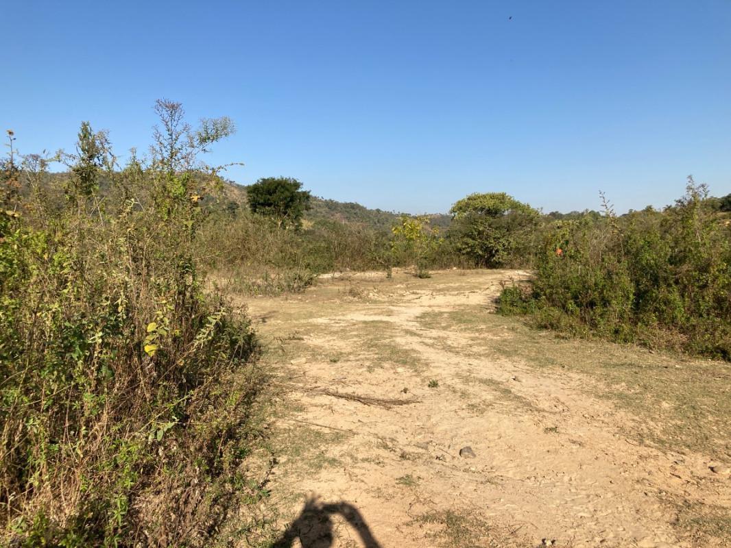 Lote, Santinho, 0 Quarto, 0 Vaga