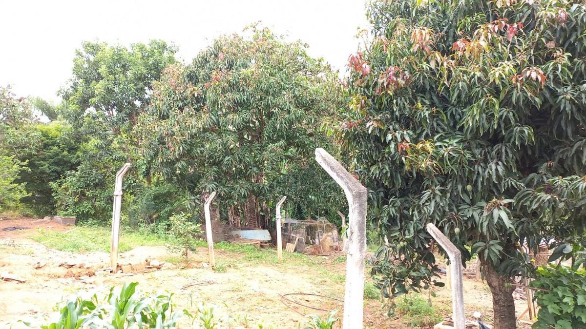 Fazenda, Zona Rural, 0 Quarto, 0 Vaga