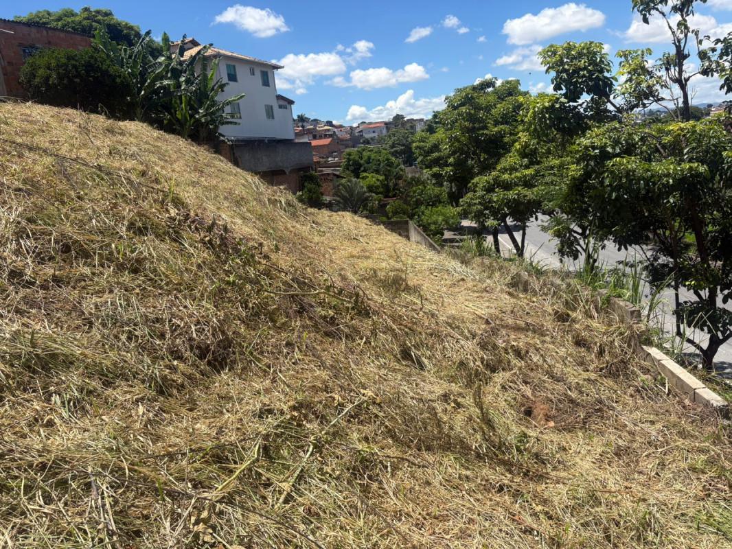 Lote, Santa Mônica, 0 Quarto, 0 Vaga