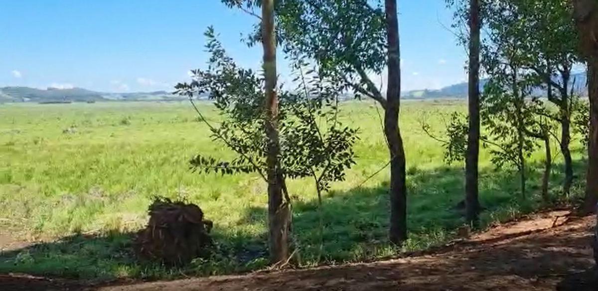 Fazenda, Centro, 0 Quarto, 0 Vaga