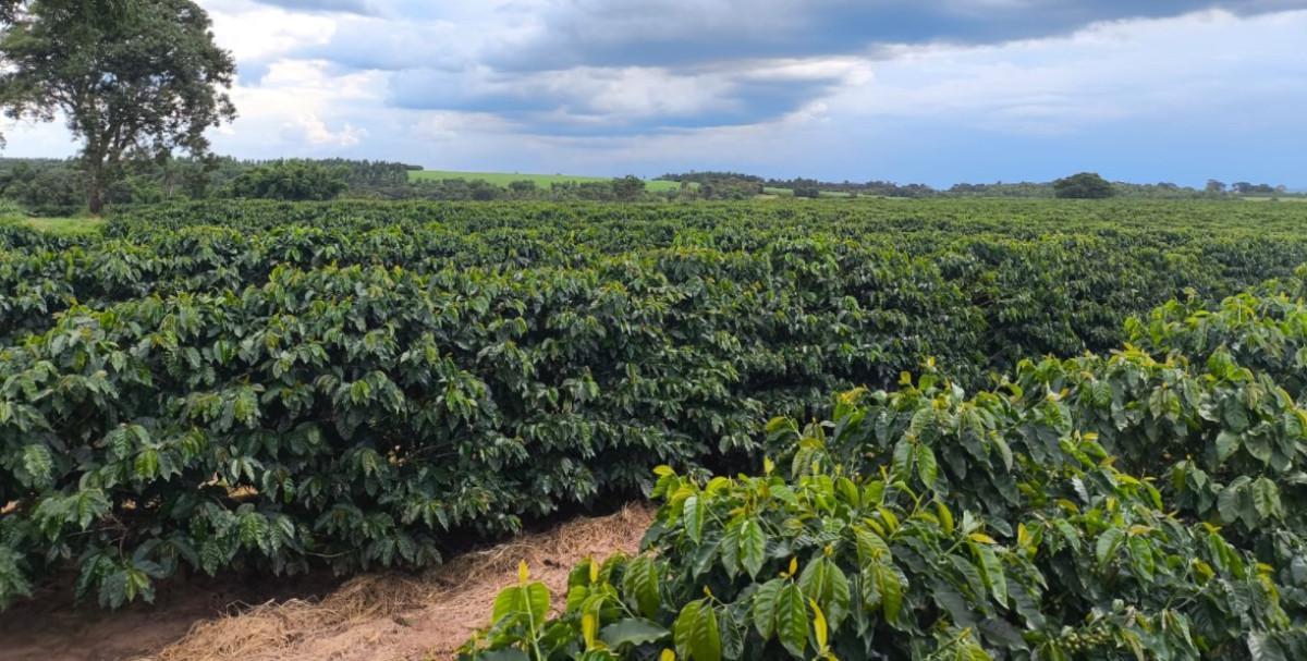 Fazenda, Zona Rural, 0 Quarto, 0 Vaga
