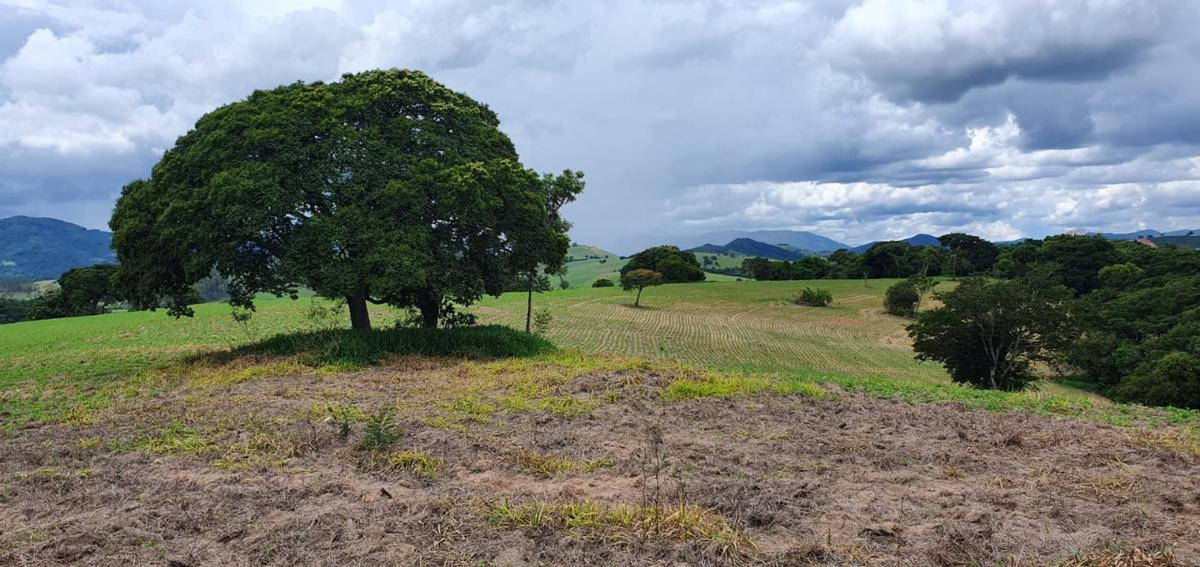 Fazenda, Centro, 1 Quarto, 1 Vaga, 1 Suíte
