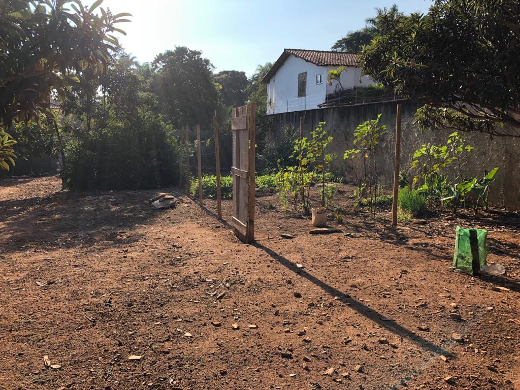 Lote, São Luiz (pampulha)