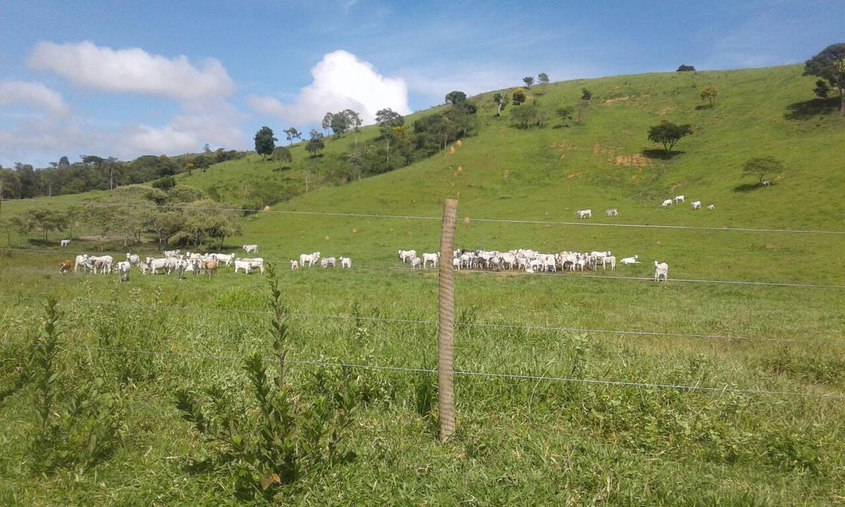 Fazenda, Centro, 1 Quarto, 1 Vaga, 1 Suíte