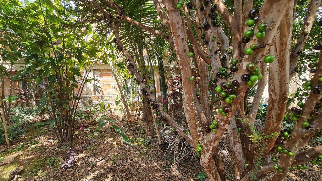 Casa, Rosário, 7 Quartos, 0 Vaga