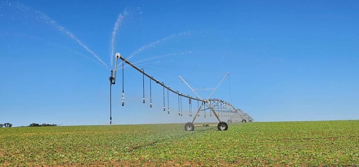 Fazenda, Centro, 0 Quarto, 0 Vaga