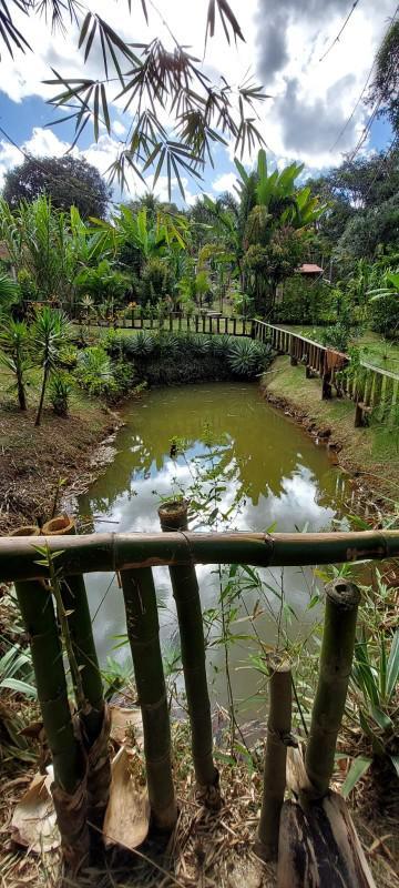 Fazenda, Condomínio Rancho Grande, 3 Quartos, 6 Vagas
