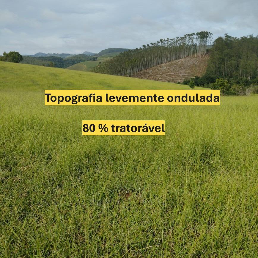 Fazenda, Zona Rural, 0 Quarto, 0 Vaga