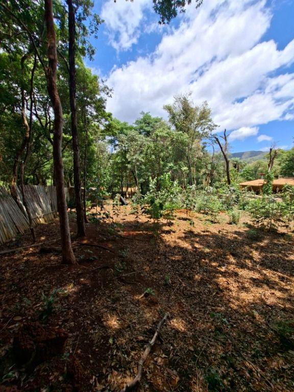 Lote, Casa Branca, 0 Quarto, 0 Vaga