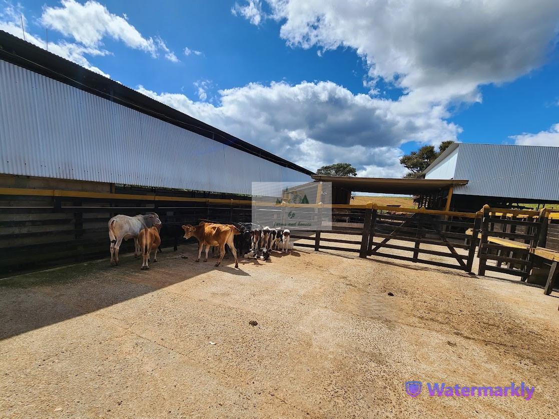 Fazenda, Centro, 6 Quartos, 4 Vagas, 1 Suíte