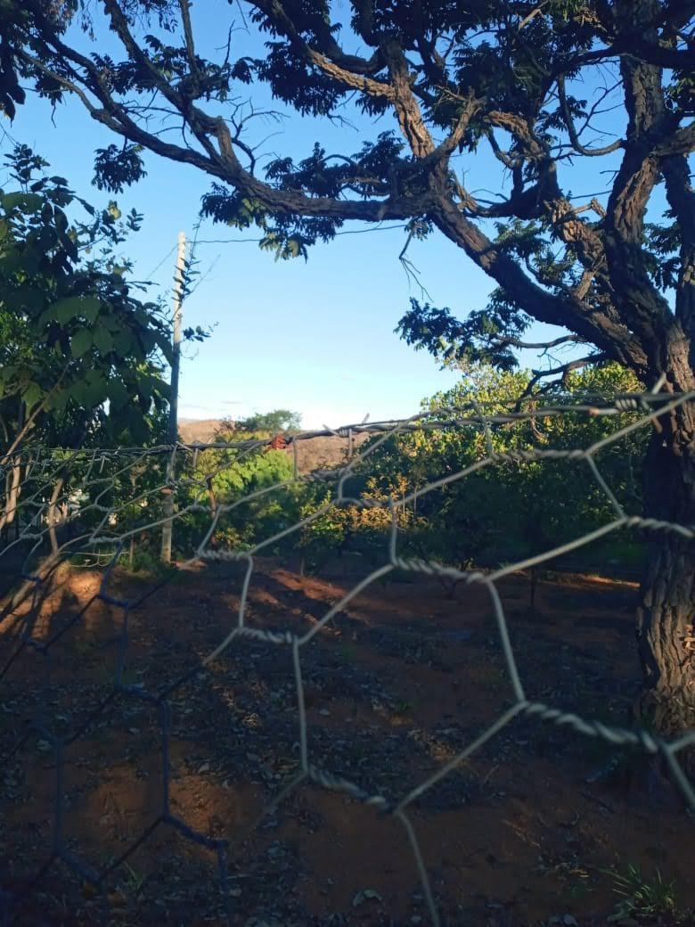 Lote, Zona Rural, 0 Quarto, 0 Vaga