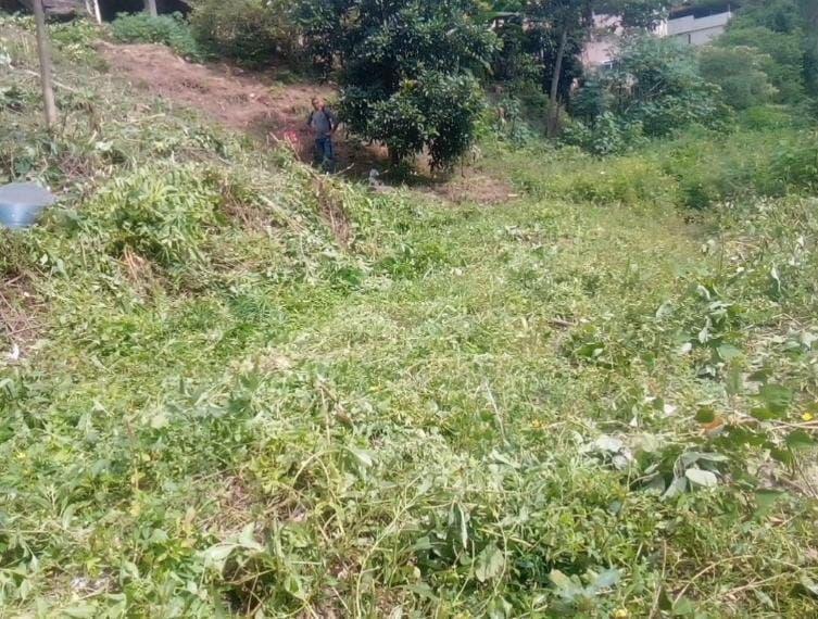 Lote, Vila Santa Cruz, 0 Quarto, 0 Vaga