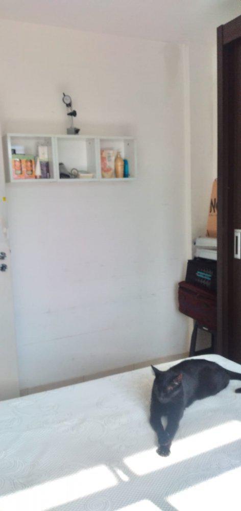 Apartamento, Conjunto Habitacional Bueno Franco, 2 Quartos, 1 Vaga