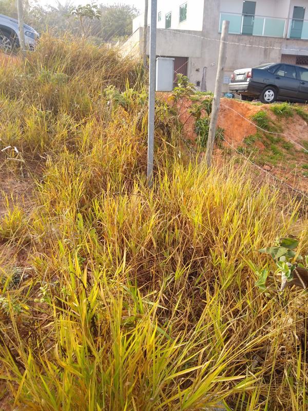 Lote, Icaivera, 0 Quarto, 0 Vaga