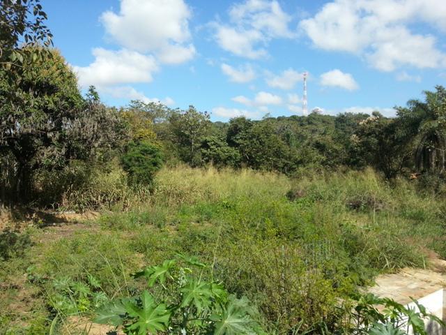 Lote, Parque Jardim Encantado, 2 Quartos, 10 Vagas, 0 Suíte