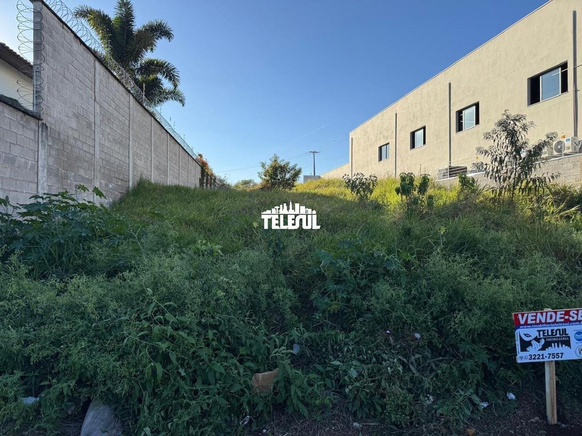 Lote, Vila Paiva, 0 Quarto, 0 Vaga
