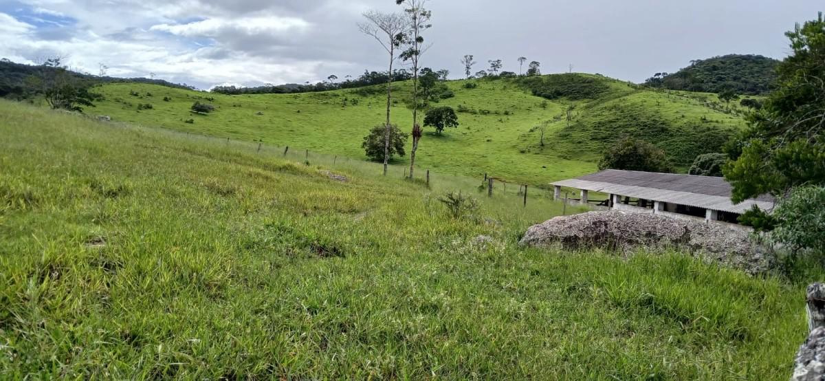 Fazenda, Centro, 6 Quartos, 10 Vagas, 2 Suítes