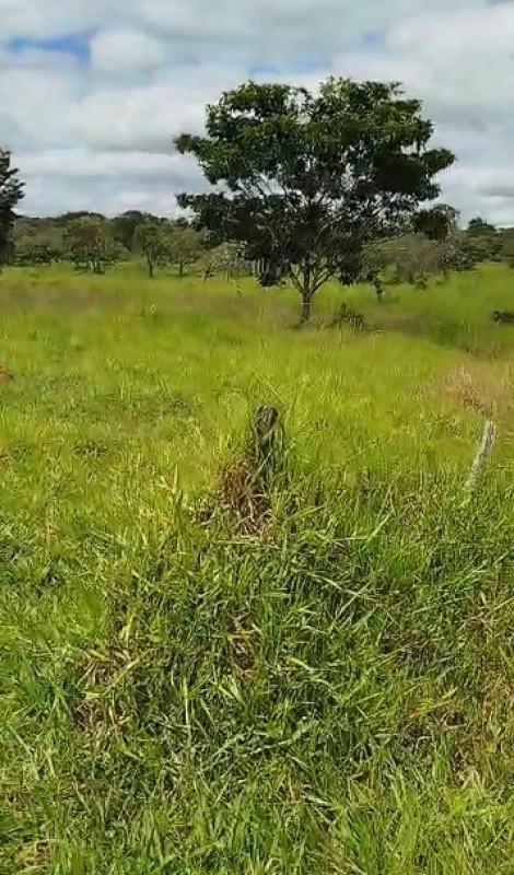 Fazenda, Zona Rural, 0 Quarto, 0 Vaga