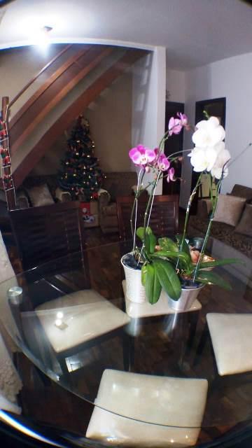 Cobertura, Palmares, 3 Quartos, 2 Vagas, 1 Suíte